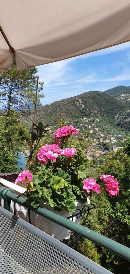 A Ca Me Bed and Breakfast Bonassola Exterior foto